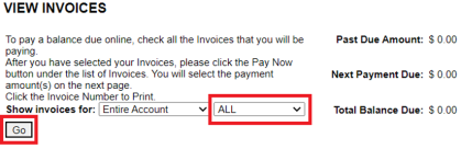 Screenshot of invoice options